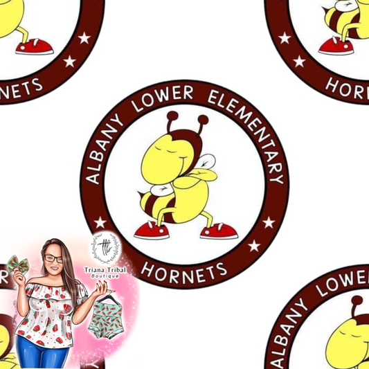 Albany Lower Elementary