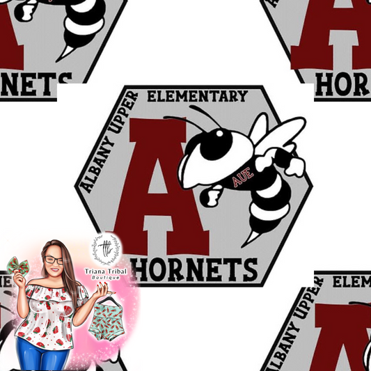 Albany Upper Elementary School