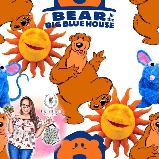 Big Blue House